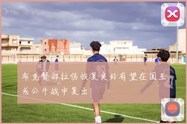 布克臀部拉伤恢复良好有望在国王或公牛战中复出