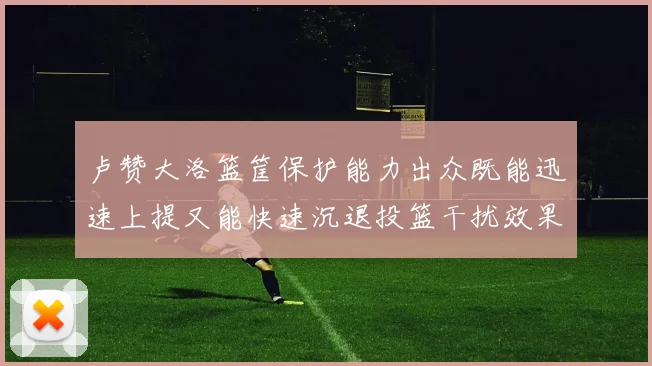 卢赞大洛篮筐保护能力出众既能迅速上提又能快速沉退投篮干扰效果显著