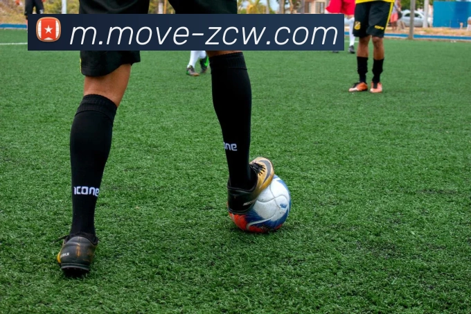 足彩网平台生态图